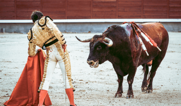 Bull Fighting, Spain