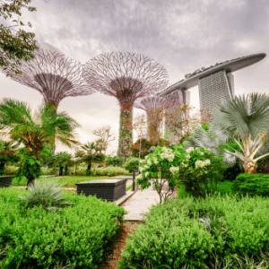 Gardens by the Bay