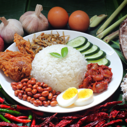 Nasi Lemak