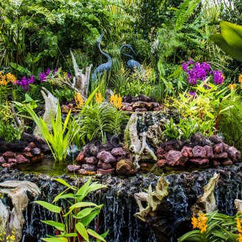 Botanic gardens Singapore