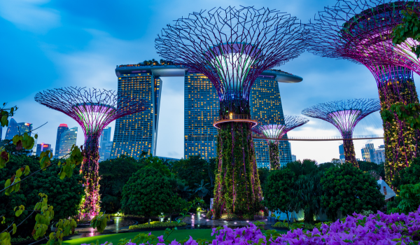 Gardens by the bay - Singapore
