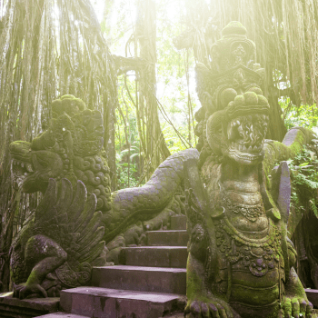 Sacred Monkey Forest Sanctuary