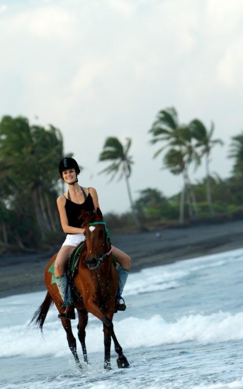 Horse Riding 2
