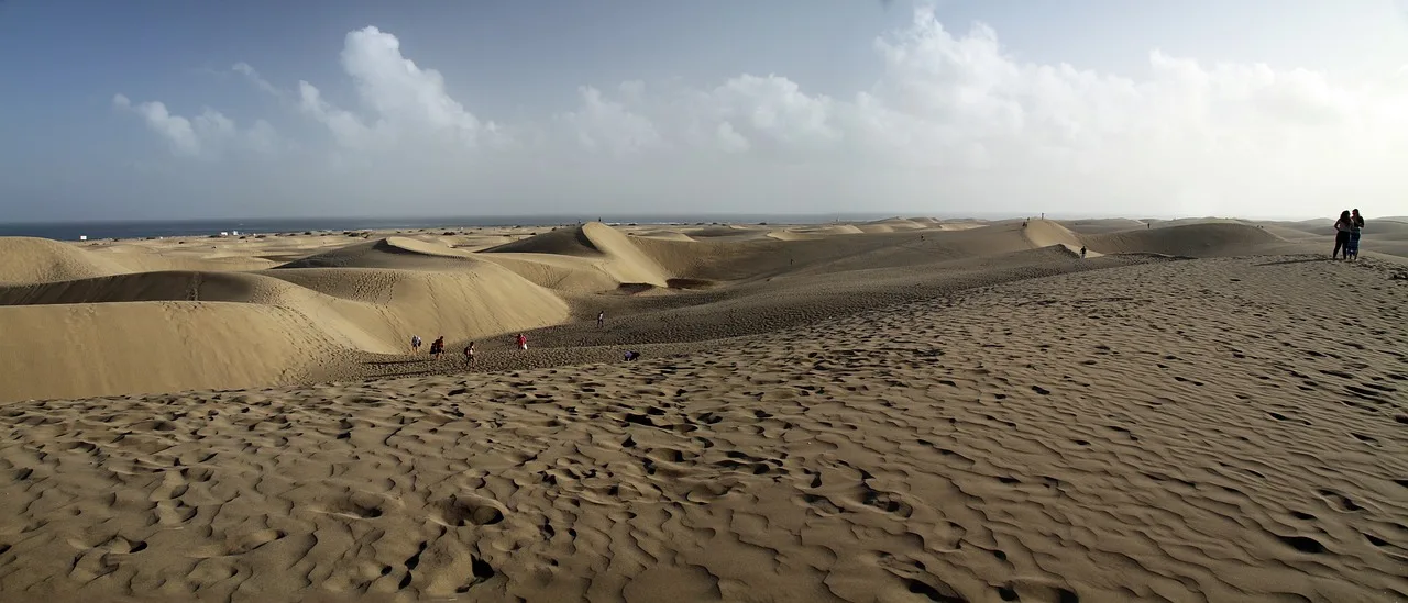 Sand Dunes - Playa del Inglés