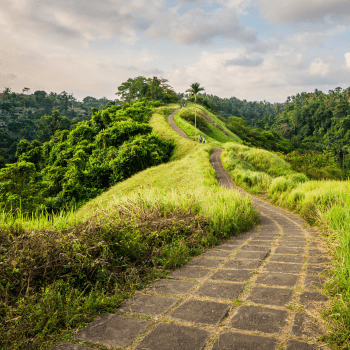 Campuhan Ridge Walk