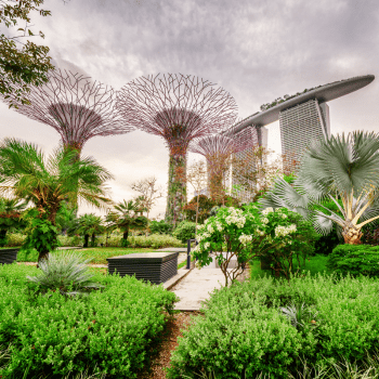 Gardens by the Bay