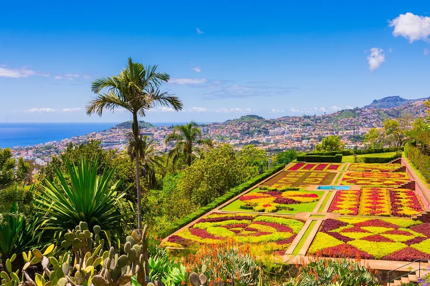 Botanical garden in Funchal, Madeira island, Portugal