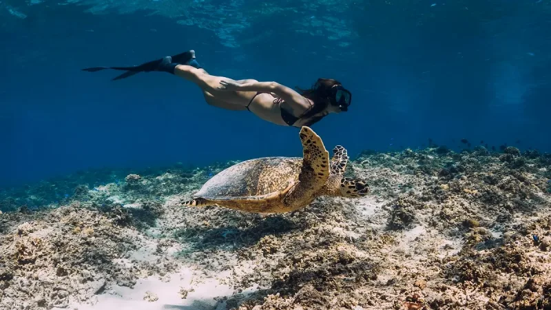 Snorkeling Candidasa