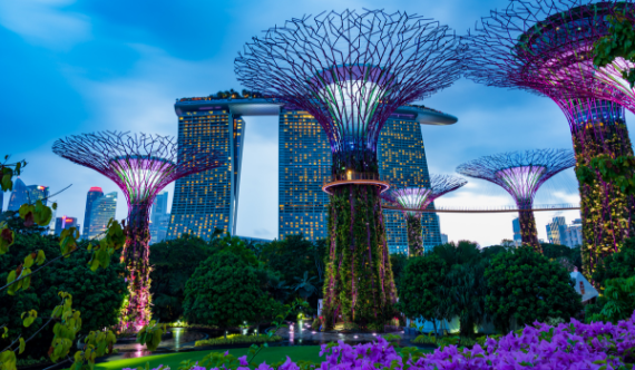 Gardens by the bay - Singapore